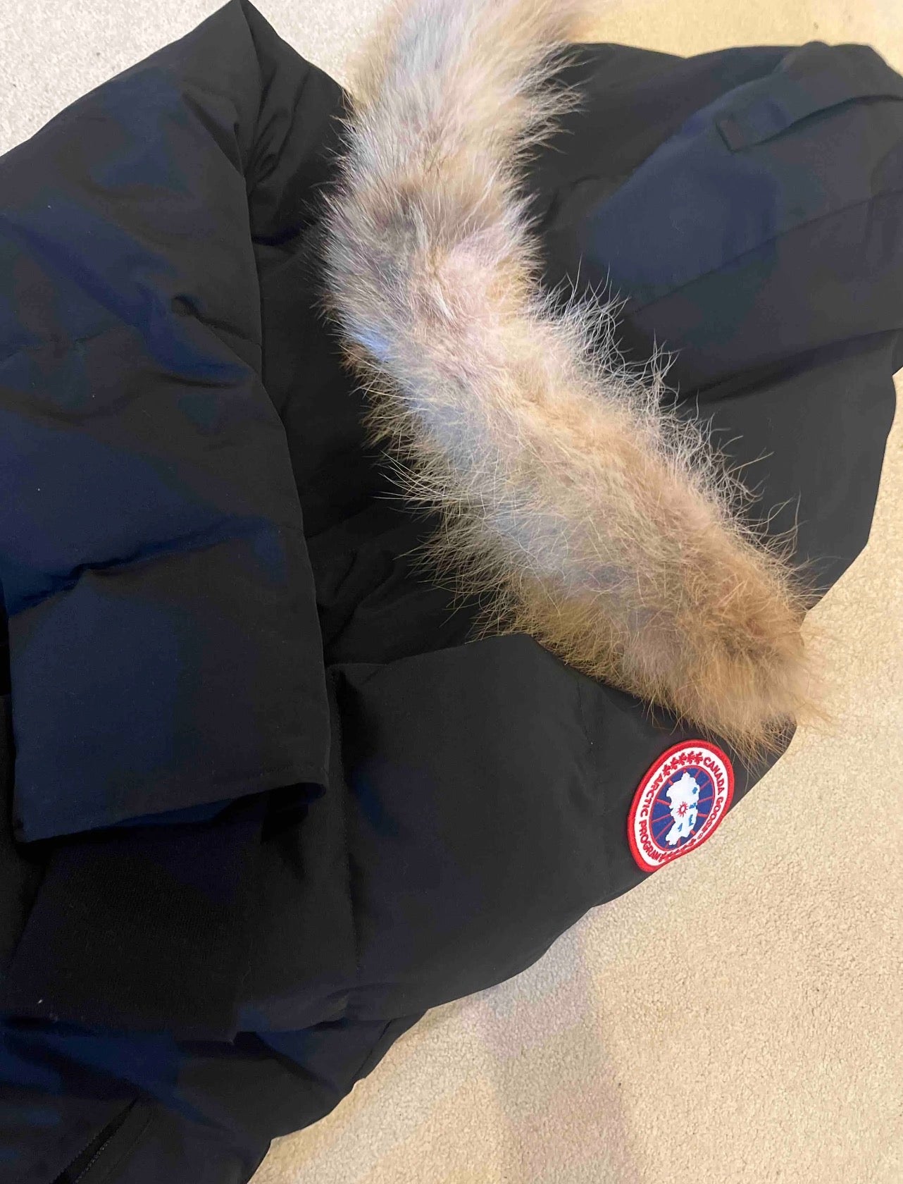 Inspired by (CG) coat