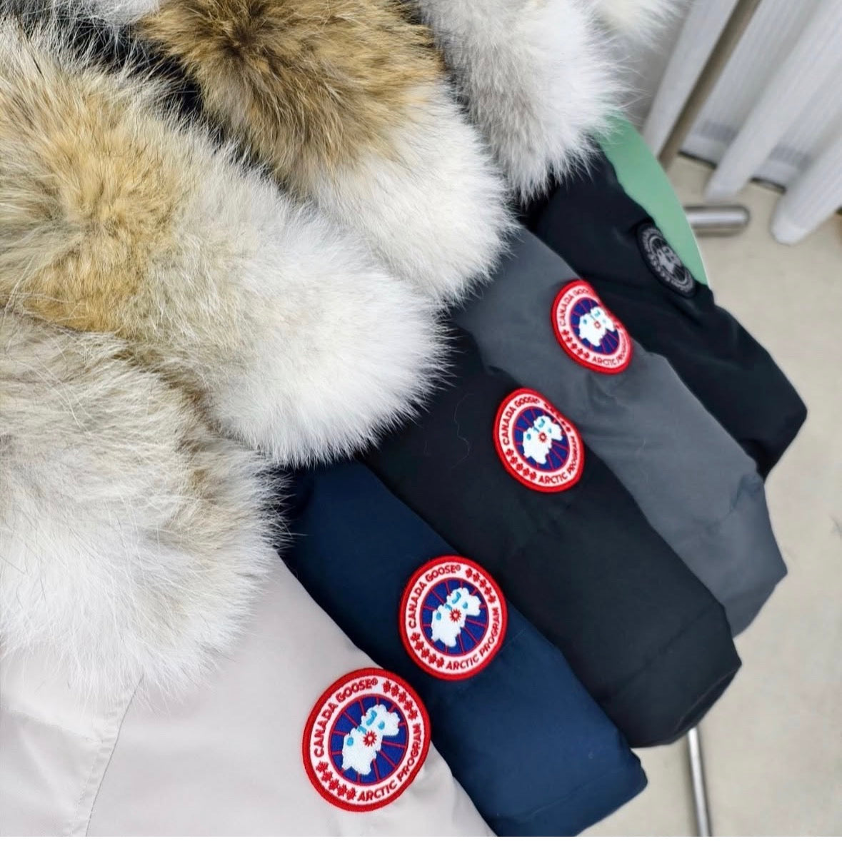 Inspired by coat (CG)